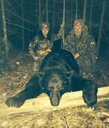 500lb. New Brunswick Bear North Shore Guides Services - New Brunswick