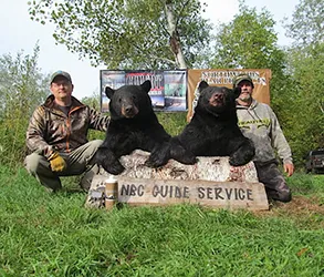 Hunter with a harvested black bear