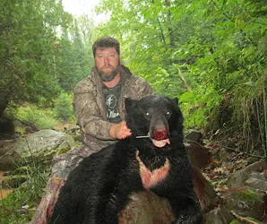 NWBP's did it again! Some nice bears taken at NBC Guide Service.