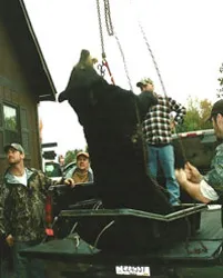 Hunter with a harvested black bear