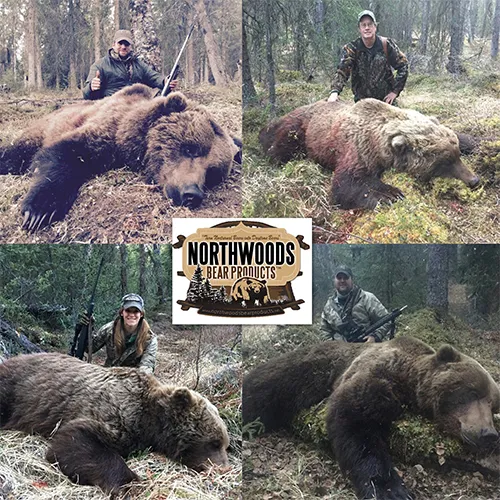 Hunter with a harvested black bear