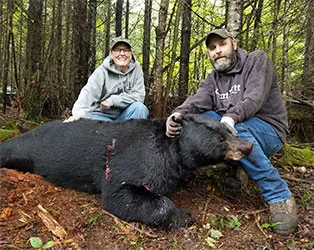 A big Wisconsin black bear