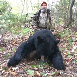 Pennsylvania client with 336 lb bear with bow. We use Goldrush everyday that we go to the sites!