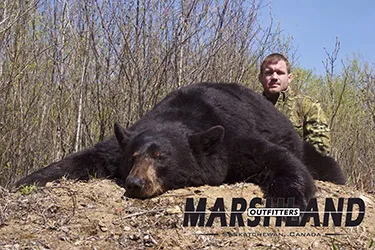 Hunter with a harvested black bear