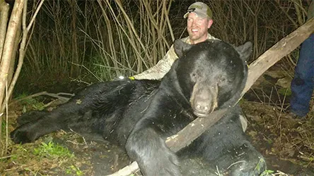 I wanted to share a pic of the bear I killed last week he in Zone C, WI. I had never used you products before but I had a great bear hitting after dark consistently. After talking with a neighbor that has used your products recommended I try some Gold Rush. So I ordered a bottle directly from you and also from Amazon to make sure I would get it ASAP as I felt I had two really good days coming to get the job done. I also bought some Cherry Dust. Long story short, this bear hit the day I put it out prior to dark, but I was not able to hunt that afternoon. The next evening I killed him with my bow. 507#. I truly believe putting your scent on the bait was the main difference in peaking his interest enough to get him there in daylight. I would also add your shipment was received the next day which was also a difference maker. Thanks for the fast shipping and I will have your products in my toolbox from here forward.